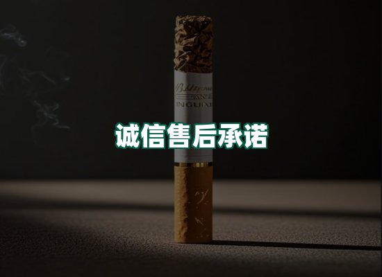 核心优势